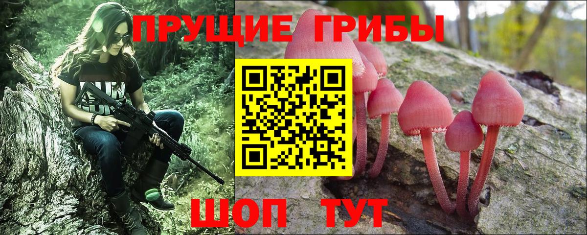 Псилоцибиновые грибы MAGIC MUSHROOMS  купить наркоту  Галлюциногенные грибы мухоморы  Красный Сулин  Вход с VPN 